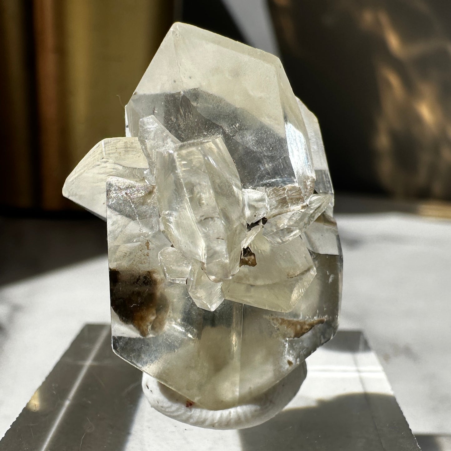 Duckbill Selenite var. Gypsum - Red River Floodway Winnipeg Canada
