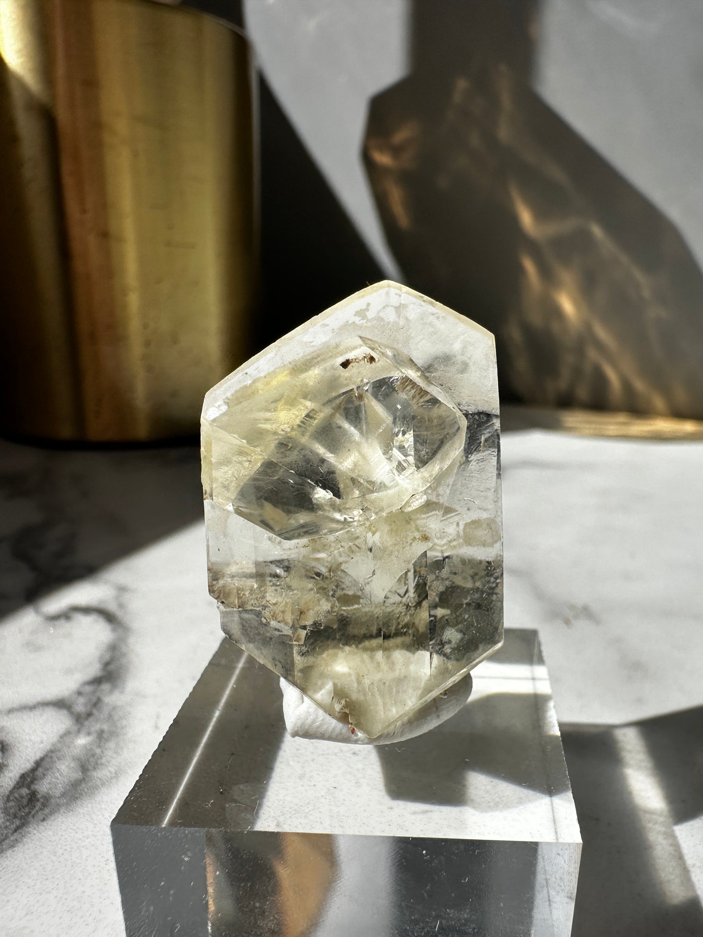 Duckbill Selenite var. Gypsum - Red River Floodway Winnipeg Canada