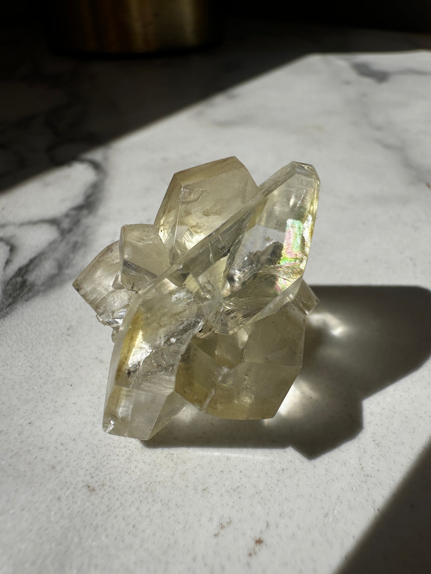 Duckbill Selenite var. Gypsum - Red River Floodway Winnipeg Canada