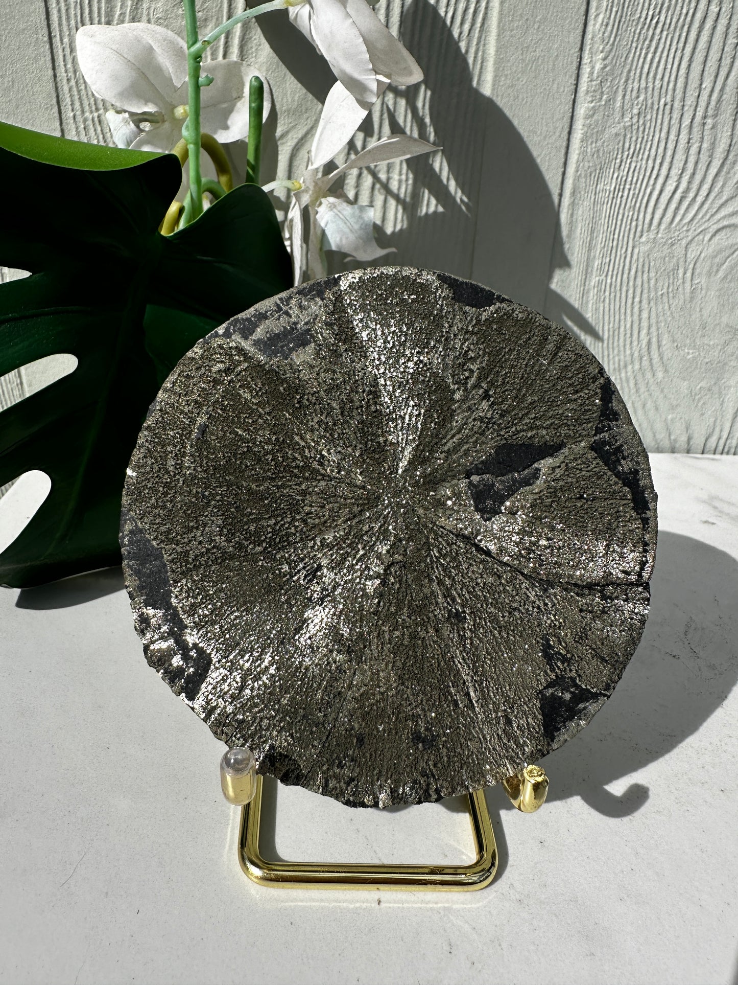 Large Pyrite Sun