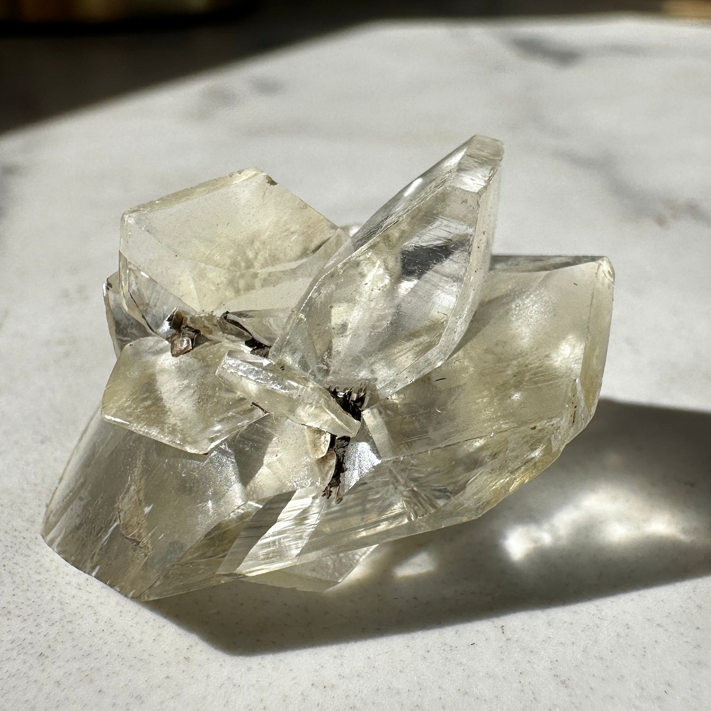 Duckbill Selenite var. Gypsum - Red River Floodway Winnipeg Canada