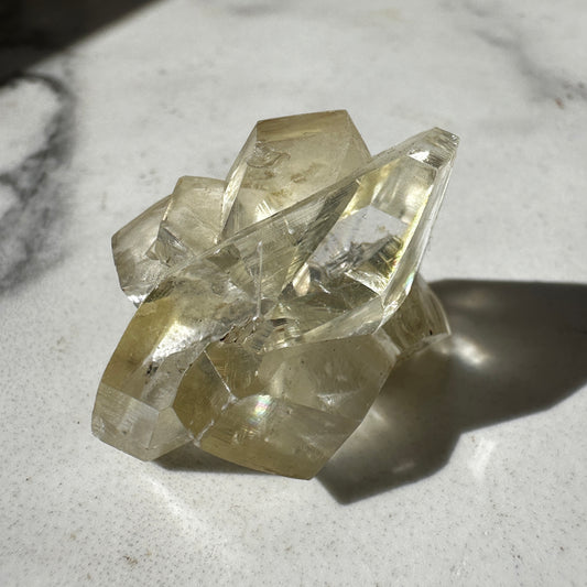 Duckbill Selenite var. Gypsum - Red River Floodway Winnipeg Canada