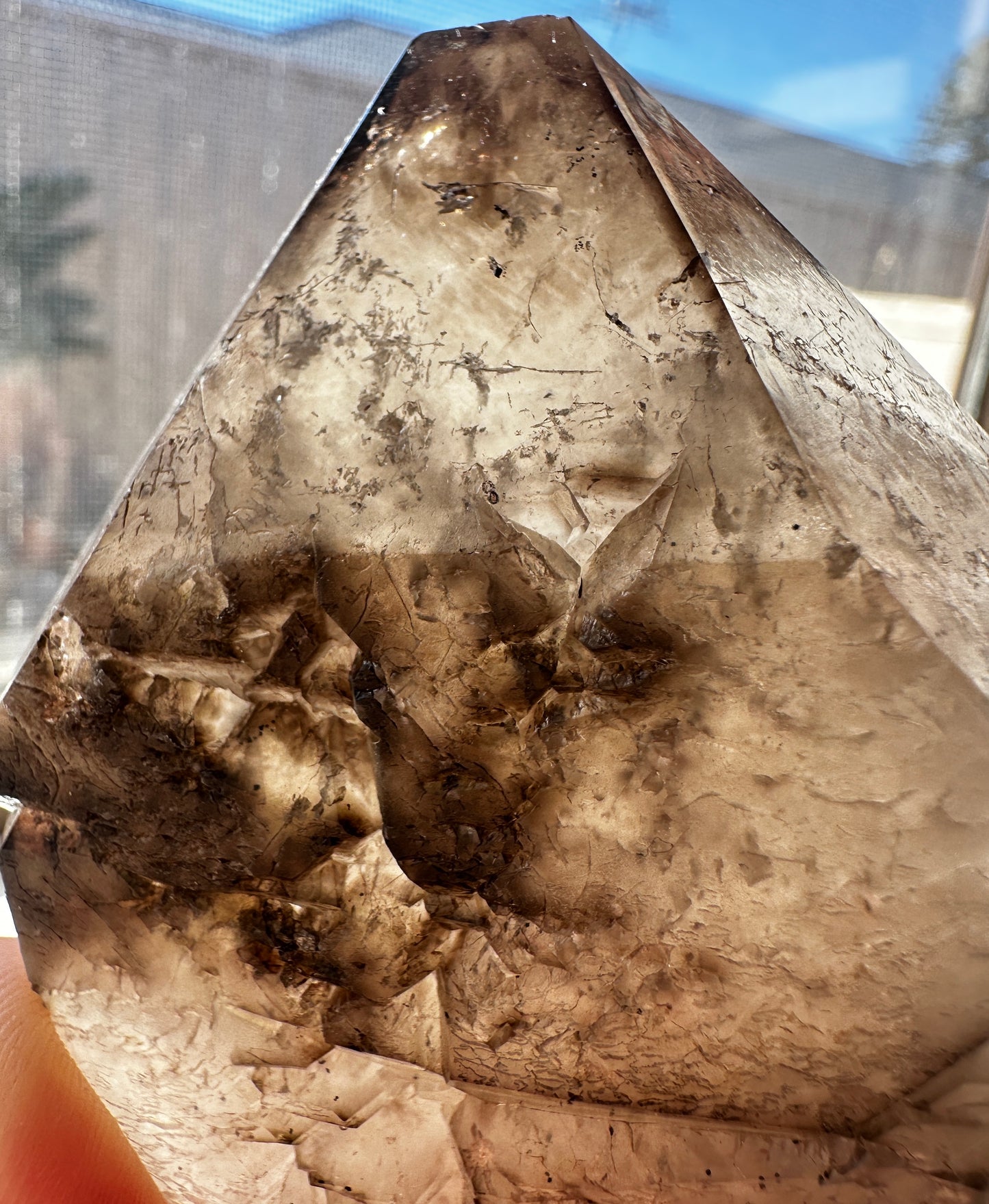Australian Phantom Smoky Quartz