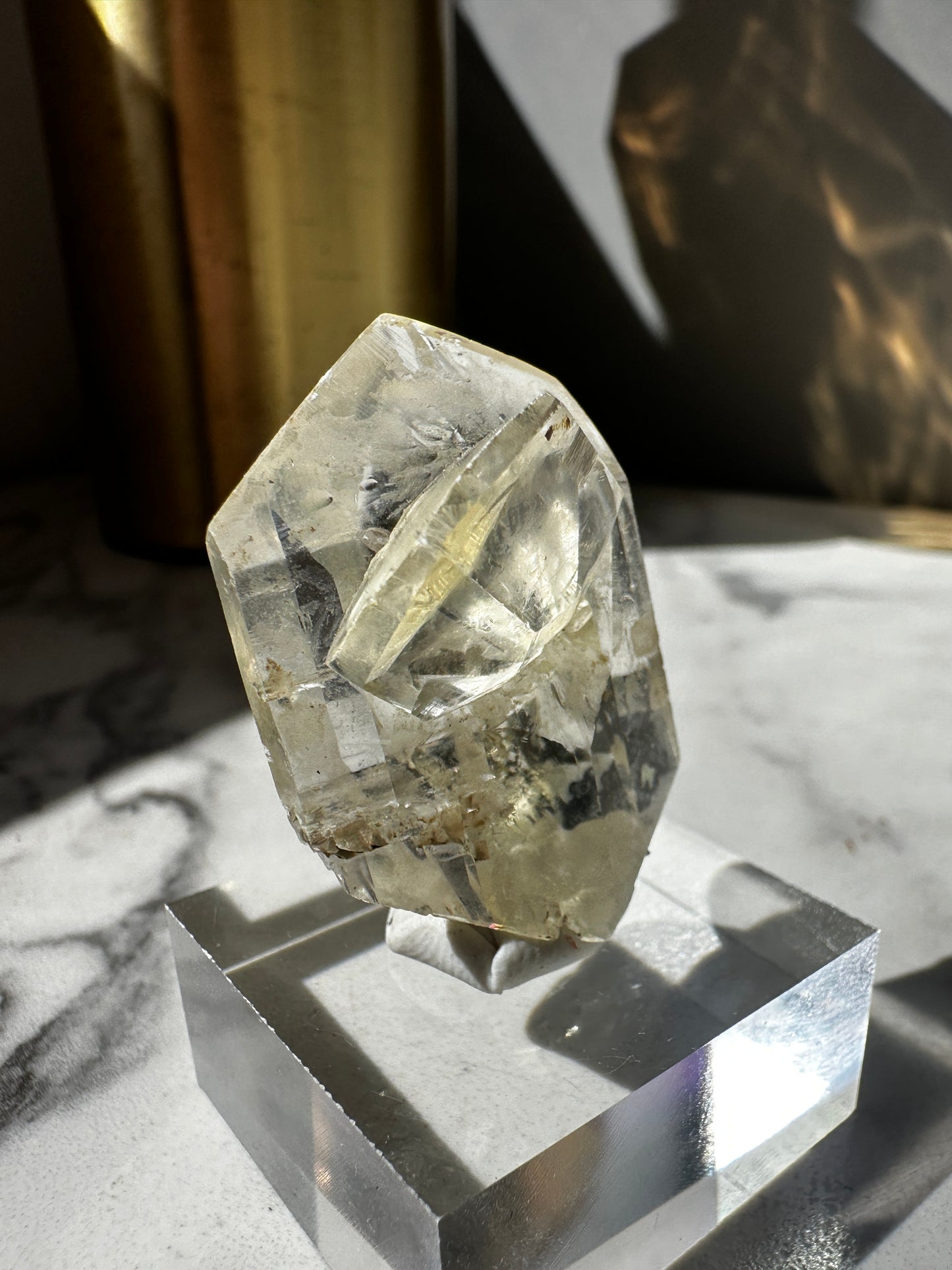 Duckbill Selenite var. Gypsum - Red River Floodway Winnipeg Canada