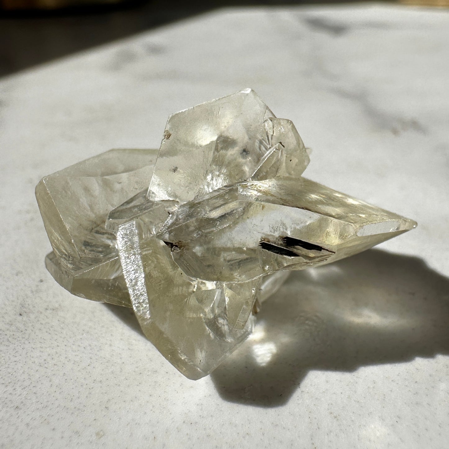 Duckbill Selenite var. Gypsum - Red River Floodway Winnipeg Canada