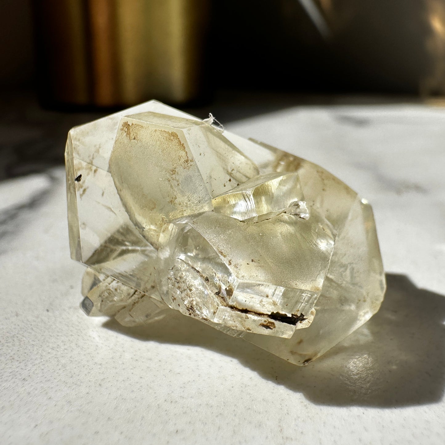 Duckbill Selenite var. Gypsum - Red River Floodway Winnipeg Canada