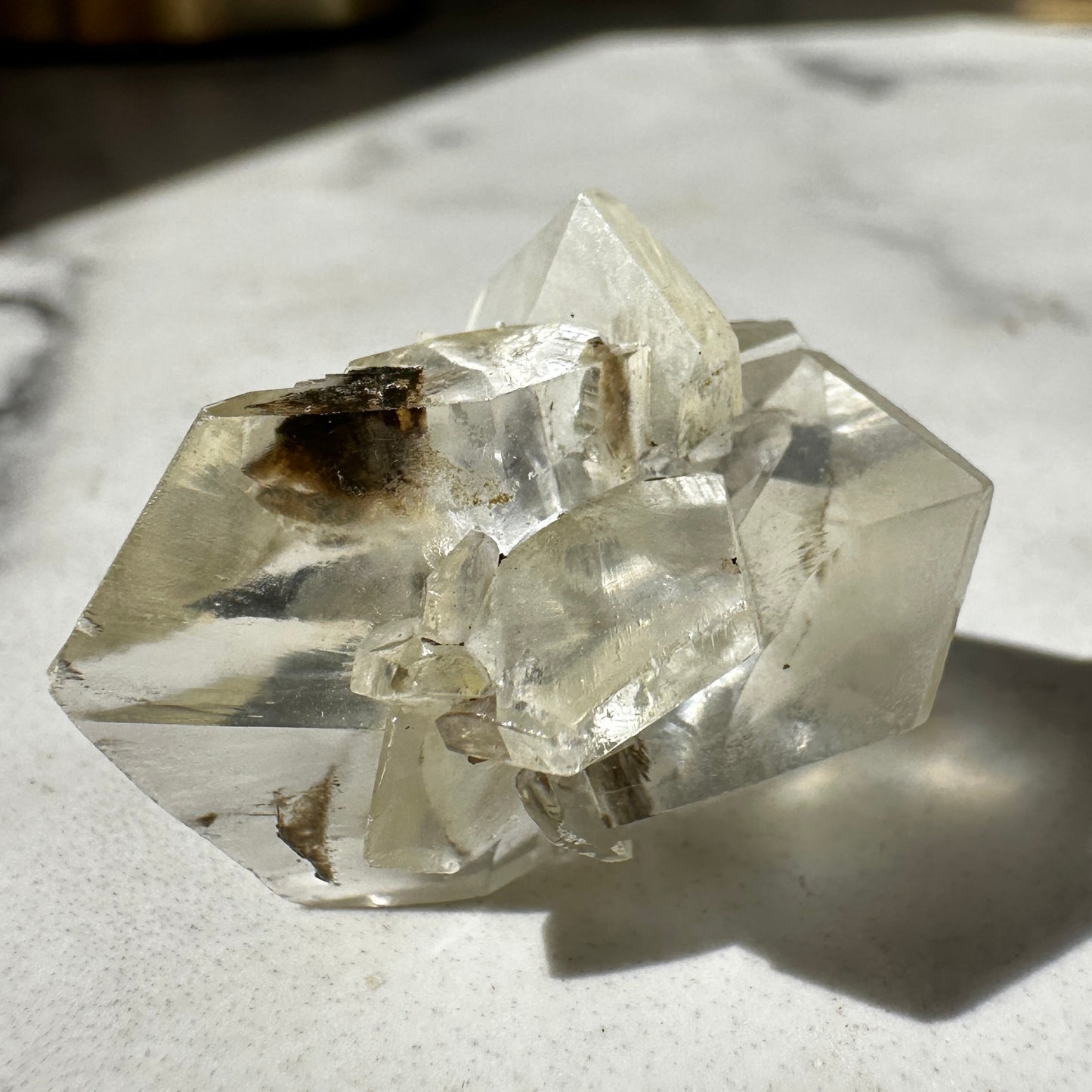 Duckbill Selenite var. Gypsum - Red River Floodway Winnipeg Canada