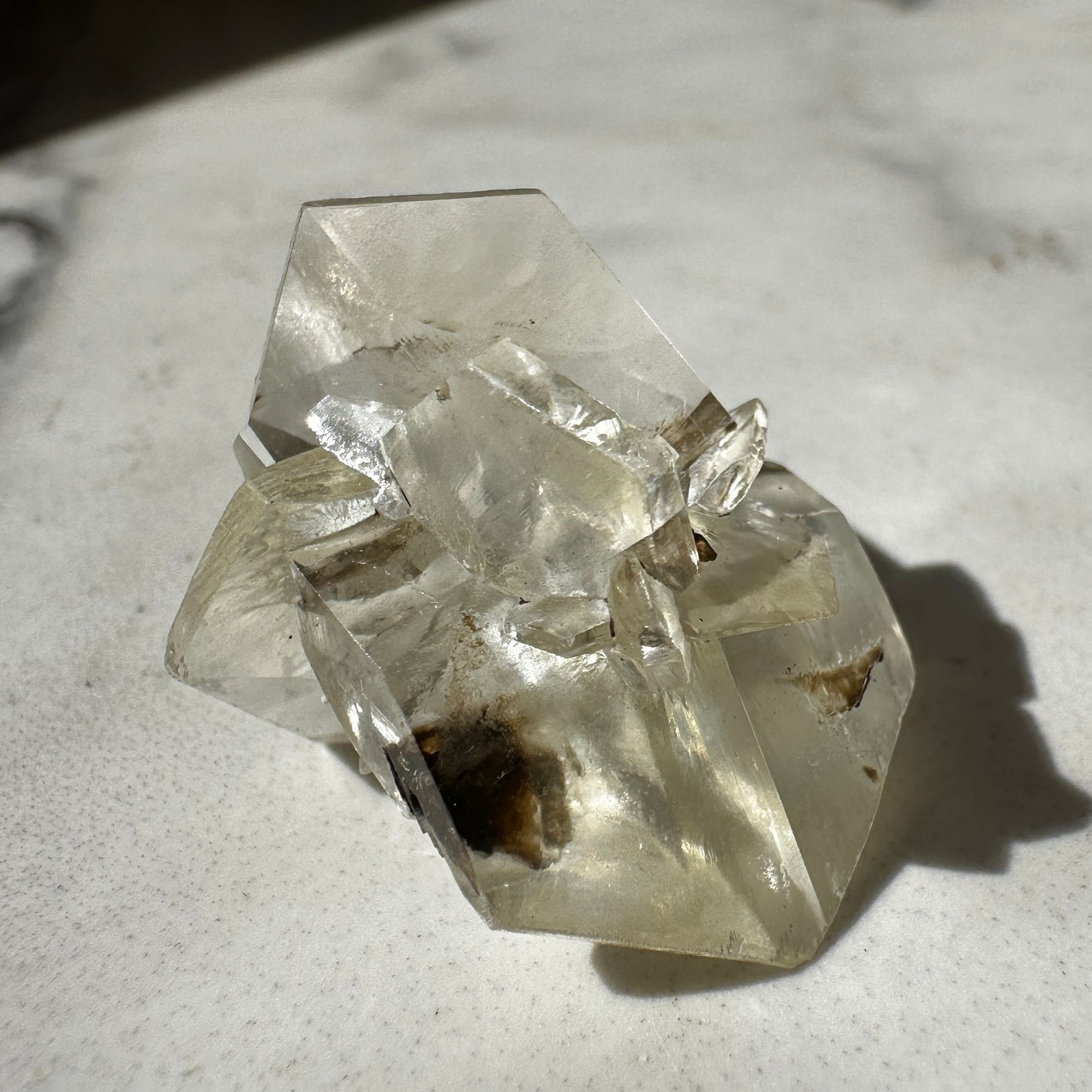 Duckbill Selenite var. Gypsum - Red River Floodway Winnipeg Canada