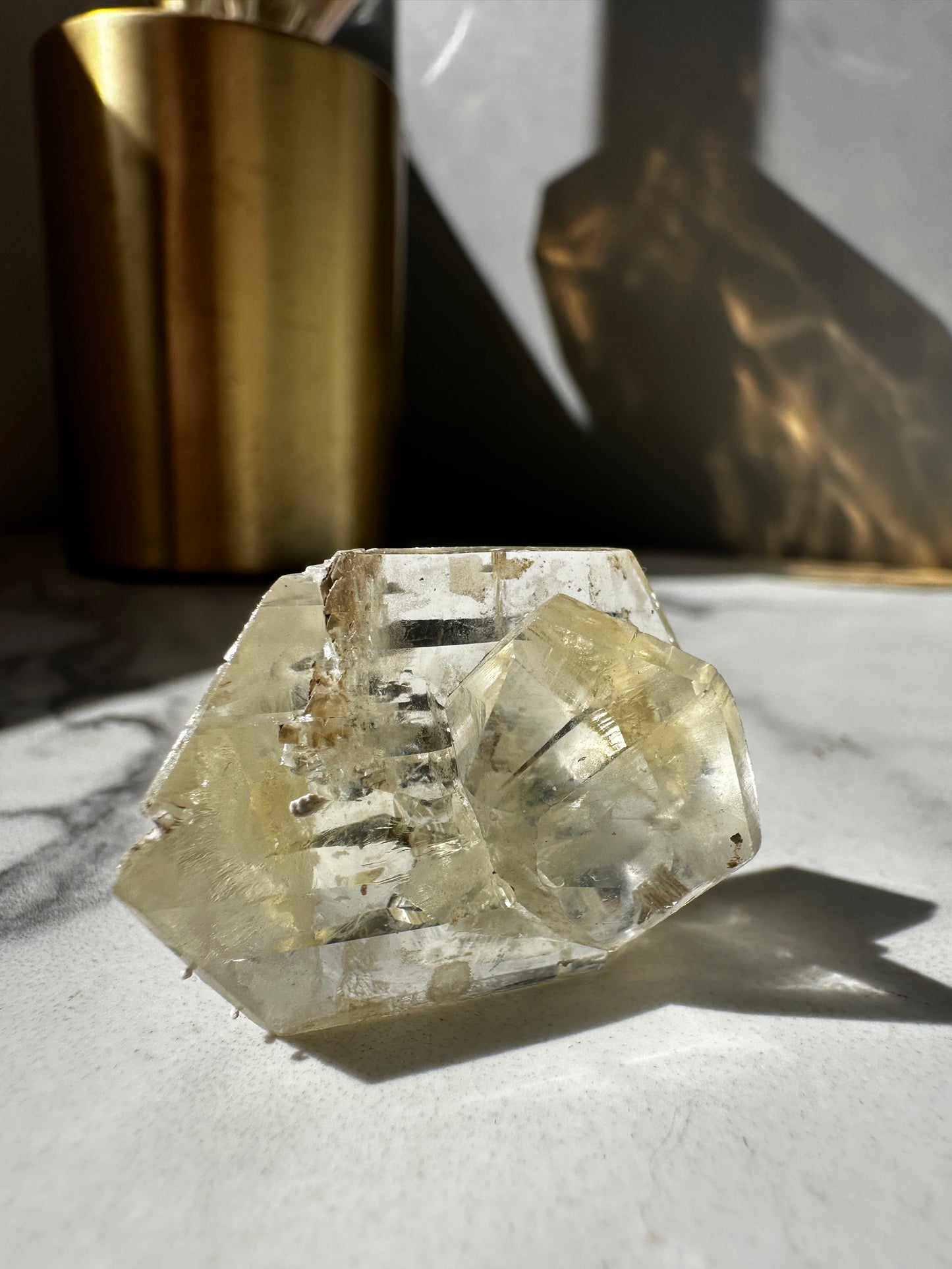 Duckbill Selenite var. Gypsum - Red River Floodway Winnipeg Canada
