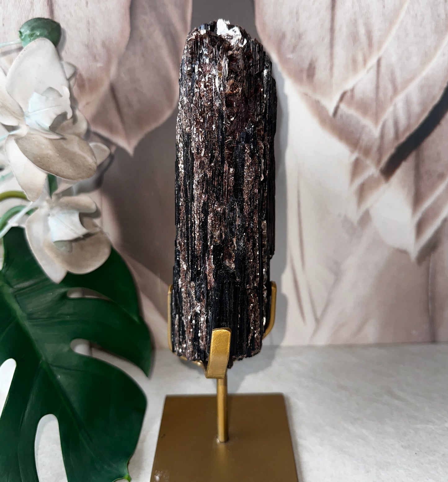 Black Tourmaline with Mica