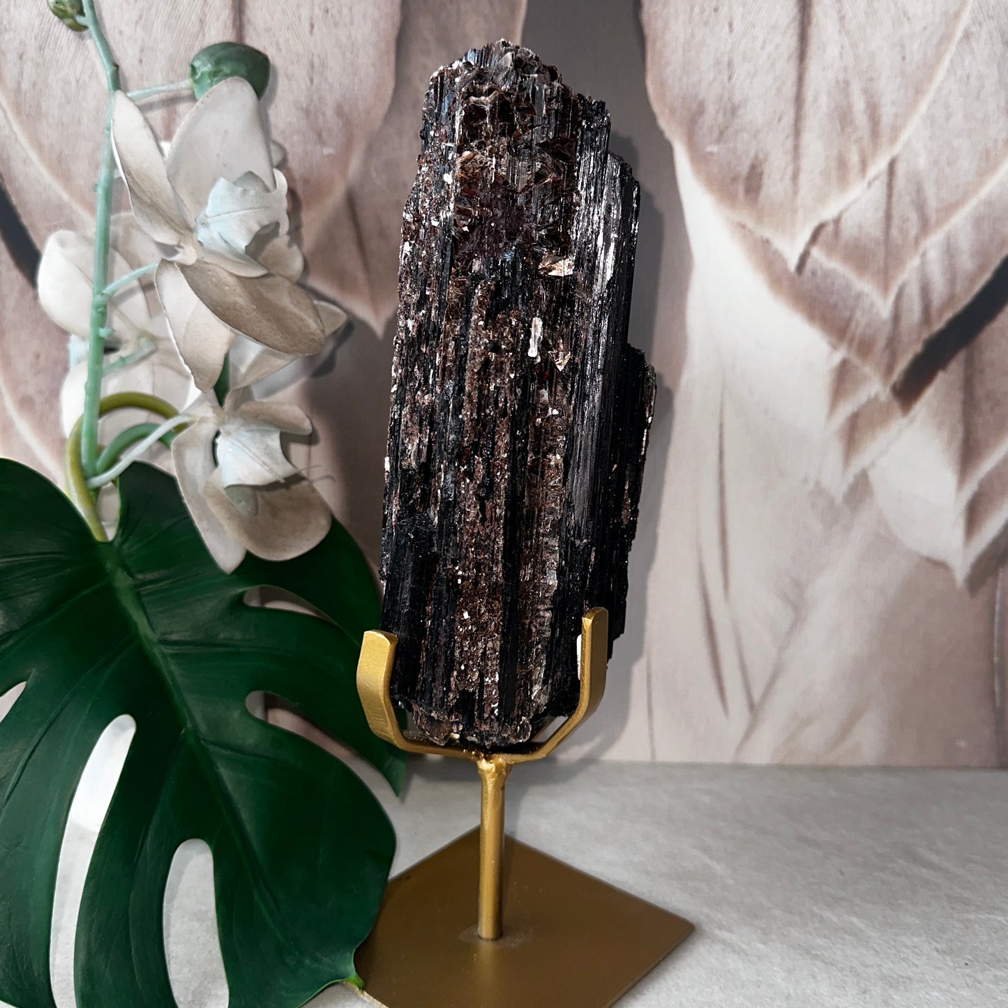 Black Tourmaline with Mica