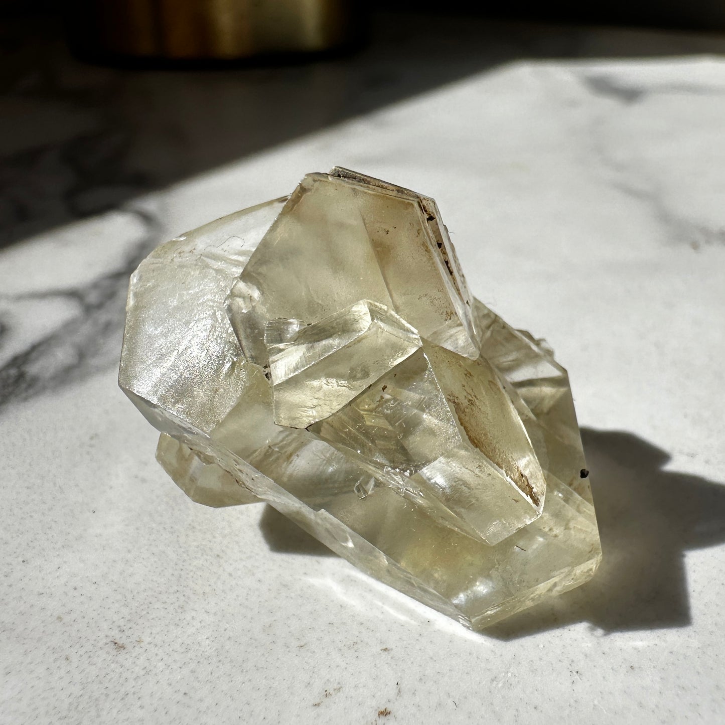 Duckbill Selenite var. Gypsum - Red River Floodway Winnipeg Canada