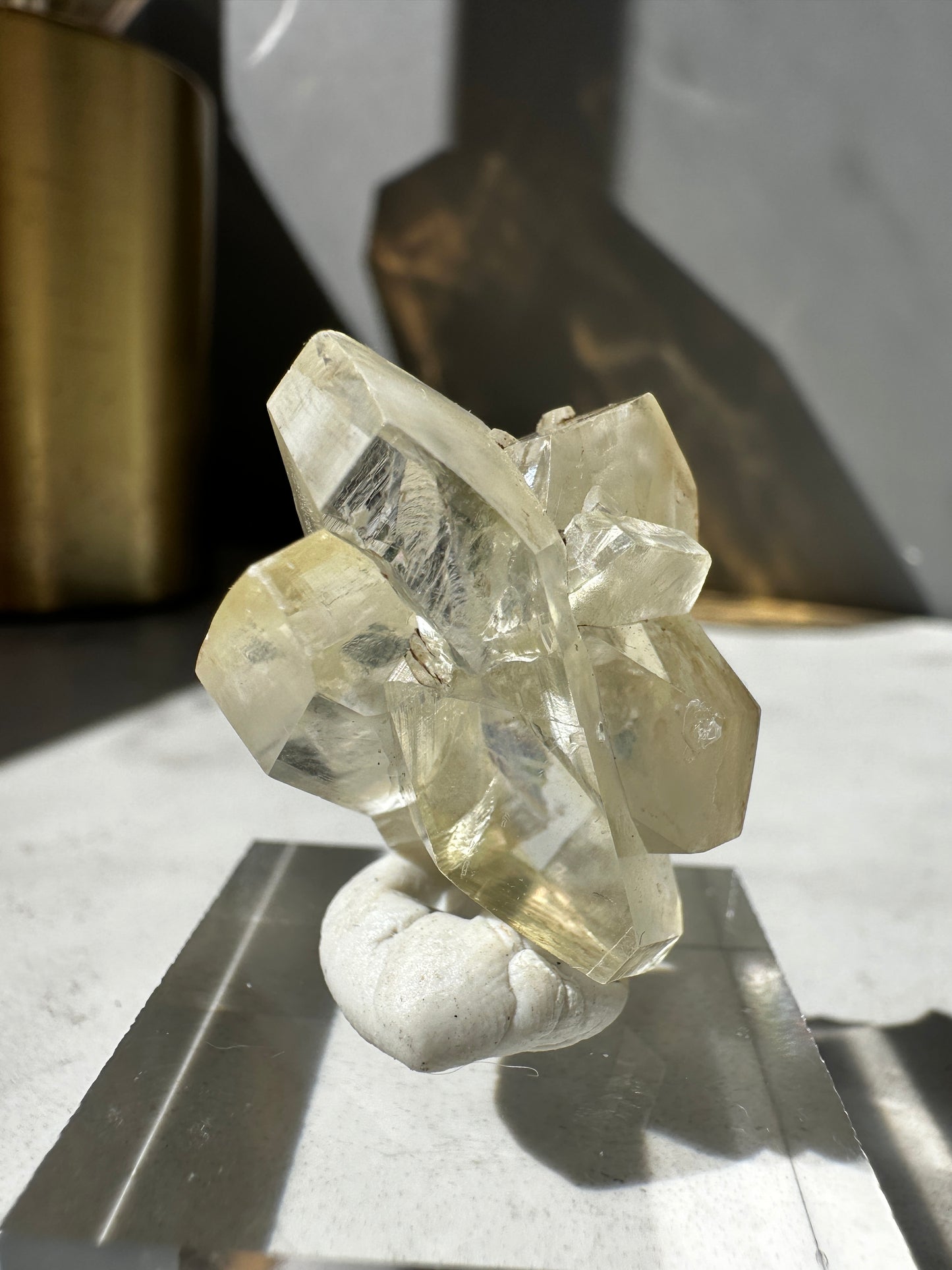 Duckbill Selenite var. Gypsum - Red River Floodway Winnipeg Canada