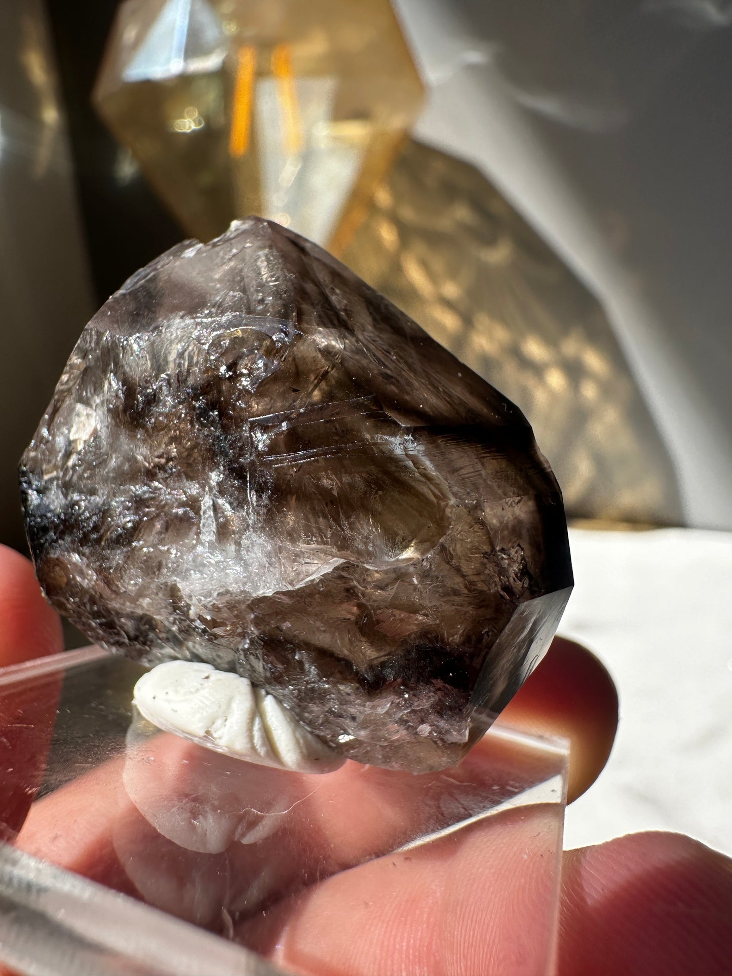 Large Australian Mooralla Smoky Quartz