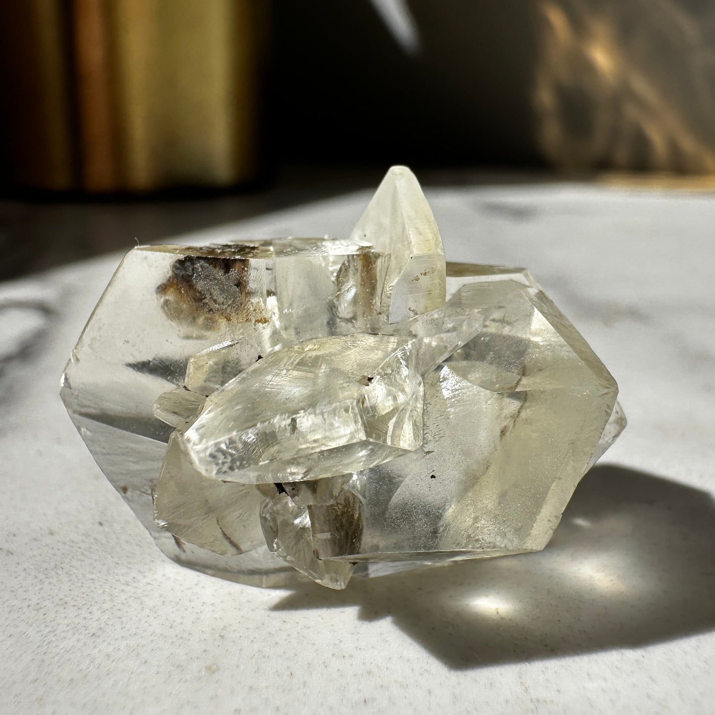 Duckbill Selenite var. Gypsum - Red River Floodway Winnipeg Canada