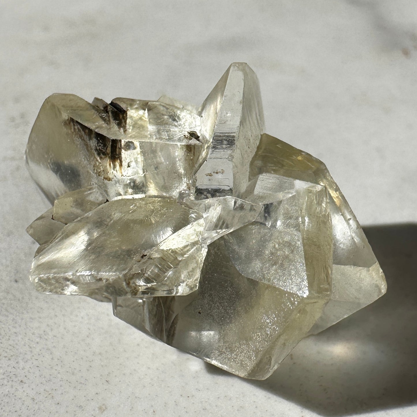 Duckbill Selenite var. Gypsum - Red River Floodway Winnipeg Canada