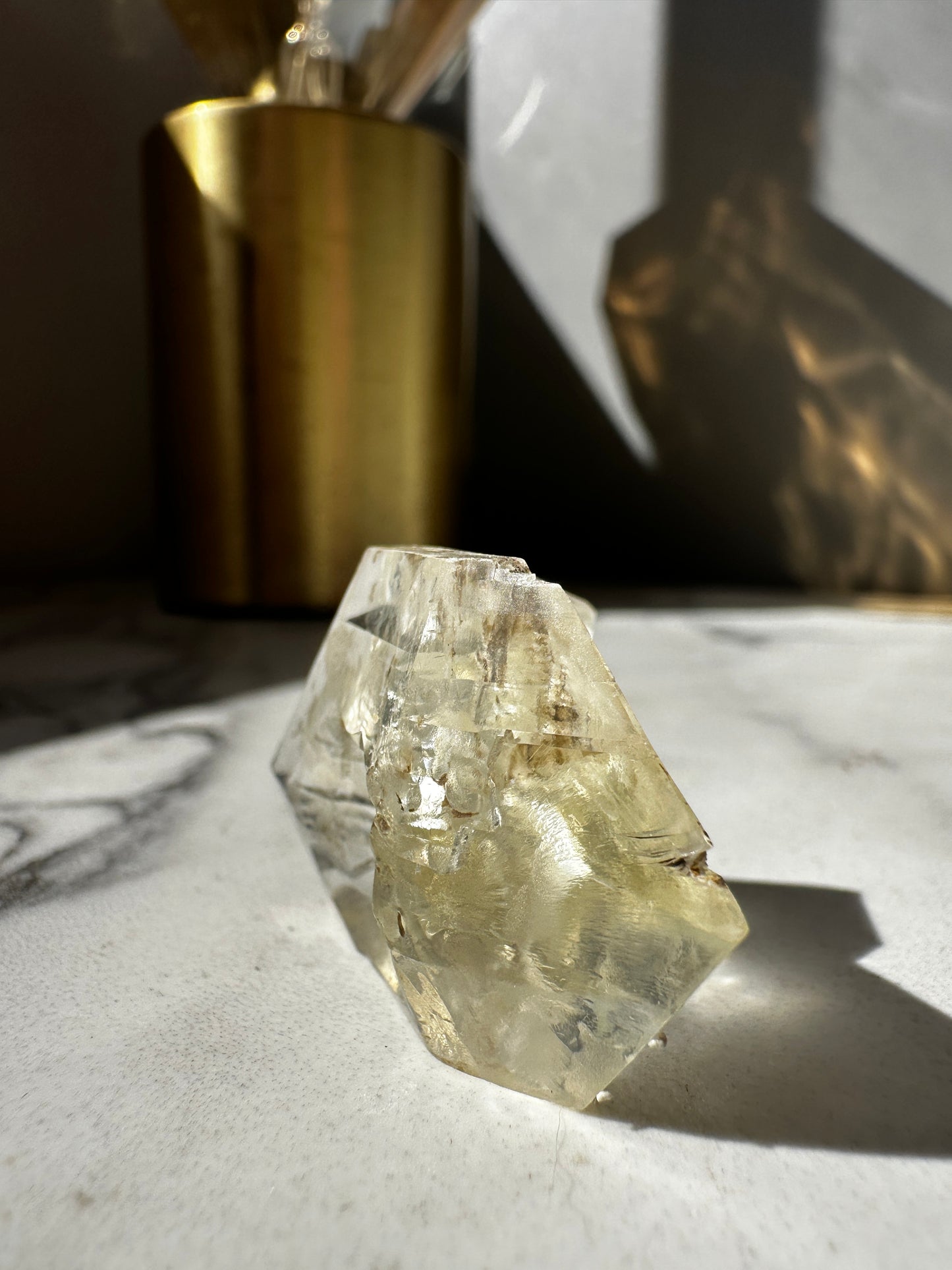 Duckbill Selenite var. Gypsum - Red River Floodway Winnipeg Canada