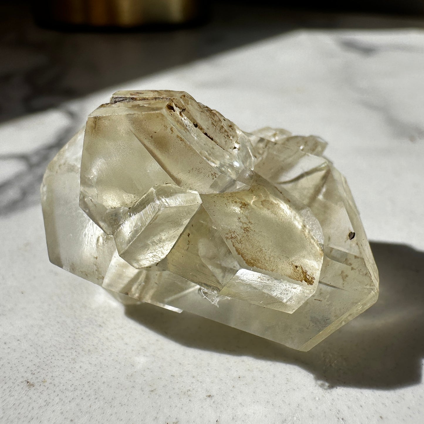 Duckbill Selenite var. Gypsum - Red River Floodway Winnipeg Canada