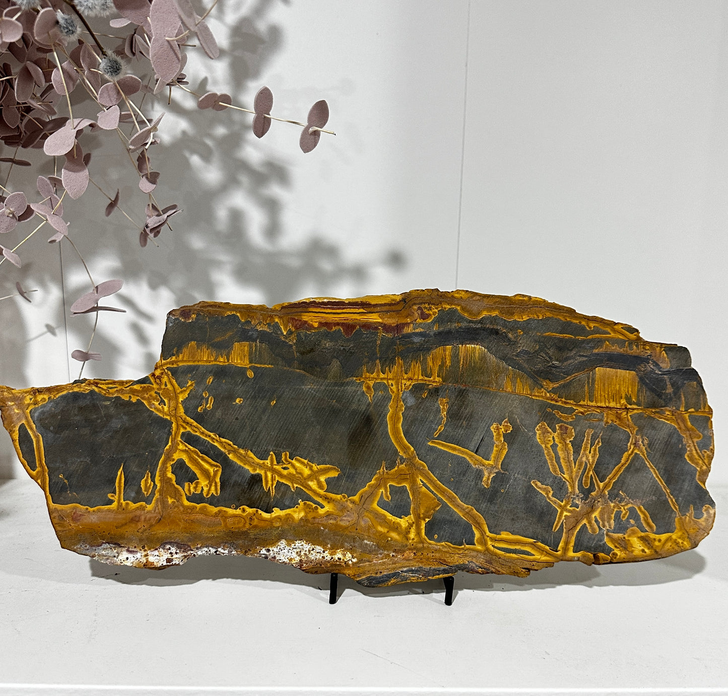 Marra Mamba Tiger Eye Slab (Pilbara Western Australia)
